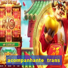 acompanhante trans porto seguro